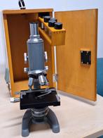 Vintage Euromex Microscoop in Houten Kist, Gebruikt, Ophalen of Verzenden, Onbekend, Onbekend