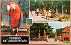 Oude Ansichtkaart Tilburgs Natuurdierenpark, Verzenden, 1940 tot 1960, Gelopen, Limburg