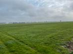 Te koop: 9 hectare aaneengelegen landbouwgrond, Weidegang, 4 paarden of pony's of meer