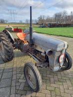 Oldtimer tractor Massey Ferguson, Zakelijke goederen, Agrarisch | Tractoren, Massey Ferguson, Ophalen