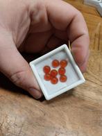 8 ronde carneool cabochons, Ophalen of Verzenden, Zo goed als nieuw