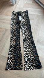 “NIEUW”Dames broek maat M AMBIKA, Maat 38/40 (M), Zwart, Nieuw, Ophalen of Verzenden