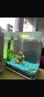 Biorb aquarium, Ophalen, Gebruikt, Leeg aquarium