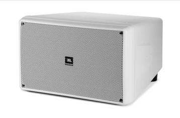 JBL Control SB2210 Subwoofer - passief beschikbaar voor biedingen
