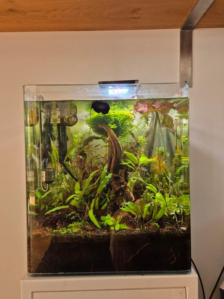 Dennerle Cube 60 inc externe filters en 2kg Co2 systeem, Dieren en Toebehoren, Vissen | Aquaria en Toebehoren, Zo goed als nieuw