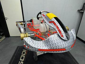 TE KOOP: EXPRIT KART ( 4 weekenden jong!) #20 beschikbaar voor biedingen