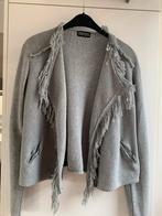 Dames vest van Repeat zilver edition, Kleding | Dames, Ophalen of Verzenden, Zo goed als nieuw, Maat 38/40 (M), Grijs