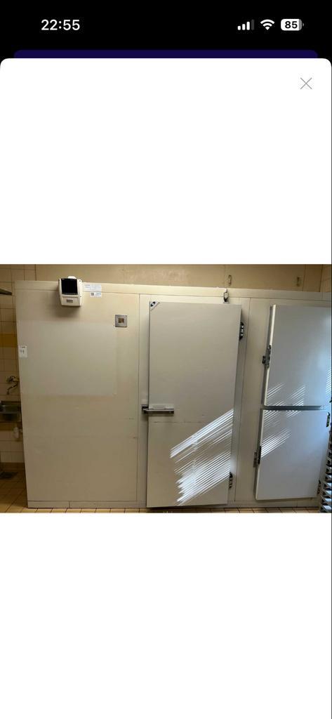 Professionele Vriescel te koop, Zakelijke goederen, Horeca | Keukenapparatuur, Koelen en Vriezen, Gebruikt, Ophalen