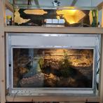 Terrarium en aquarium incl. 2 Reptielen & 3 Amfibieën! +, Dieren en Toebehoren, Reptielen en Amfibieën | Toebehoren, Ophalen of Verzenden
