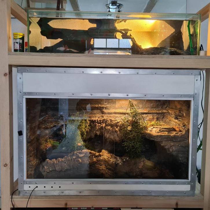 Terrarium en aquarium incl. 2 Reptielen & 3 Amfibieën! +, Dieren en Toebehoren, Reptielen en Amfibieën | Toebehoren, Gebruikt