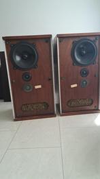 B&W DM2, Audio, Tv en Foto, Luidsprekers, Gebruikt, Minder dan 60 watt, Front, Rear of Stereo speakers, Ophalen