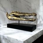 krokodil schedel messing skull op standaard, Ophalen of Verzenden