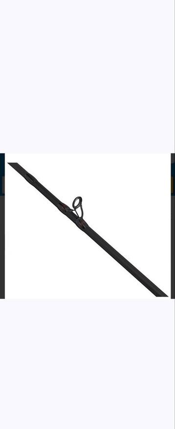 Berkley Zilla Pike Casting Rod beschikbaar voor biedingen