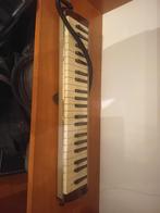 Hammond pro44 melodion melodica, Muziek en Instrumenten, Ophalen of Verzenden, Gebruikt, Overige soorten