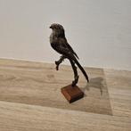 Opgezette staartmees op houten voet, Verzamelen, Ophalen of Verzenden, Gebruikt, Vogel, Opgezet dier
