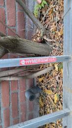 Hymer aluminium ladder 2 delen 4.64 per deel, Ophalen, Gebruikt, Ladder, 4 meter of meer