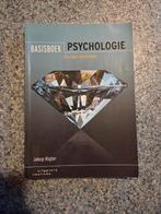 Jakop Rigter - Basisboek psychologie, Boeken, Sociale psychologie, Jakop Rigter, Ophalen of Verzenden, Zo goed als nieuw
