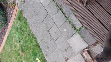 Gratis wat oude tegels 30x30 en 60x40 beschikbaar voor biedingen