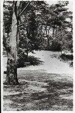 Pa1140 Oude ongelopen Ansichtkaart Odoorner Zand, Ophalen of Verzenden, Ongelopen