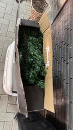 Kerstboom, Tuin en Terras, Planten | Bomen, Ophalen, Overige soorten, 100 tot 250 cm