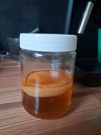 scoby voor het maken van kombucha, Ophalen