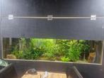 Groot aquarium, Dieren en Toebehoren, Vissen | Aquaria en Toebehoren, Ophalen
