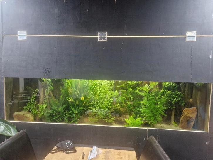 Groot aquarium, Dieren en Toebehoren, Vissen | Aquaria en Toebehoren, Ophalen