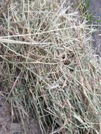 Midi baal hooi ongeveer 100 kilo, Dieren en Toebehoren