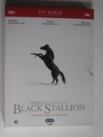 THE BLACK STALLION met MICKEY ROONEY in een 3 DVD BOX, Cd's en Dvd's, Dvd's | Avontuur, Boxset, Zo goed als nieuw, Ophalen