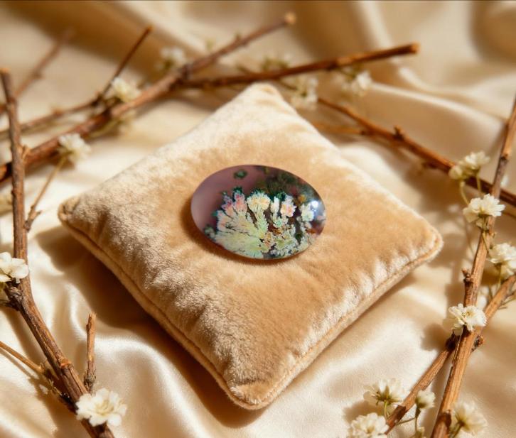 Dendritische Agaat Cabochon - Khorasan, Iran, Sieraden, Tassen en Uiterlijk, Edelstenen, Zo goed als nieuw, Ophalen of Verzenden