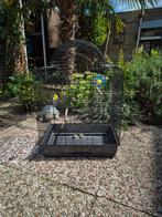 Grote vogelkooi, Dieren en Toebehoren, Vogels | Hokken en Kooien, Ophalen, Metaal, Vogelkooi