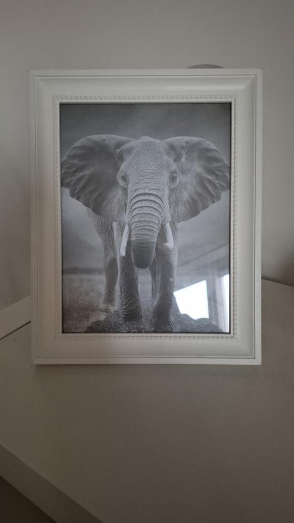 Mooie fotolijst met olifant - Zo goed als nieuw!, Minder dan 50 cm, Ophalen of Verzenden, Zo goed als nieuw, Foto of Poster