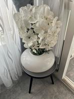 Bloem  in pot ( groot ) orchidee, Huis en Inrichting, Ophalen, Zo goed als nieuw, Binnen