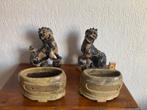 Twee antiek Chinese boeddhistische leeuwen foo dogs shishi, Ophalen of Verzenden
