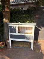 Feenplast Konijnenhok, Dieren en Toebehoren, Knaagdieren en Konijnen | Hokken en Kooien, Ophalen of Verzenden, Gebruikt, Hok, Konijn