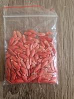 Snack komkommer zaad, Tuin en Terras, Ophalen, Voorjaar, Volle zon, Zaad