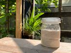 Zuurdesem sourdough starter. Ophalen in Boskoop/ Gouda, Ophalen of Verzenden