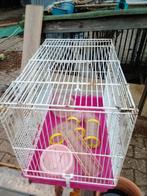 Hamsterkooi, Kooi, Minder dan 75 cm, Zo goed als nieuw, Ophalen