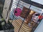Hamsterkooi, zeer compleet!  38x59 cm en 50cm hoog., Dieren en Toebehoren, Ophalen