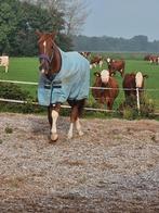 Vakantie, Dieren en Toebehoren, Ophalen of Verzenden