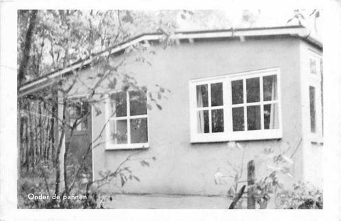 (380-113-033) Doorn Bonte Vlucht, Verzamelen, Ansichtkaarten | Nederland, Utrecht, Verzenden