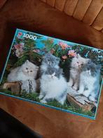 Puzzel poezen 1000 stukjes, Hobby en Vrije tijd, Denksport en Puzzels, Ophalen, 500 t/m 1500 stukjes, Gebruikt, Legpuzzel