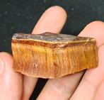 Ruwe Haviksoog edelstenen natuursteen mineralen verzameling, Verzamelen, Mineralen en Fossielen, Ophalen of Verzenden