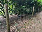 GRATIS 60 meter tuingaas, hekwerk, Ophalen, Gebruikt, 20 meter of meer, Gaas