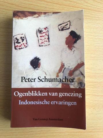 Veranderende inzichten bij een kenner van Indië/Indonesië beschikbaar voor biedingen