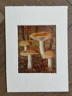 1932 OUD Litho paddestoel1932 Geelwitte russula, Antiek en Kunst, Ophalen of Verzenden