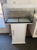 AQUARIUM+TOEBEHOREN, Dieren en Toebehoren, Ophalen, Zo goed als nieuw, Leeg aquarium