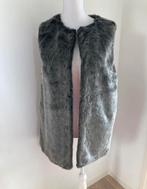 Nieuw! Zachte McGregor bodywarmer - maat M/38, Maat 38/40 (M), McGregor, Nieuw, Ophalen of Verzenden