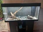 Juwel 100x50x40 + onderkast, Dieren en Toebehoren, Vissen | Aquaria en Toebehoren, Ophalen, Gebruikt, Leeg aquarium