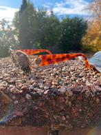 Sergio Tacchini zonnebril met hoes, Overige merken, Zonnebril, Bruin, Ophalen of Verzenden